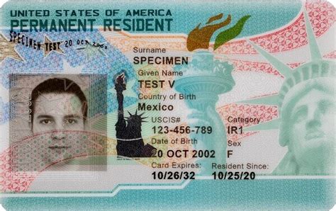 can you work without a green card|what does a green card look like.